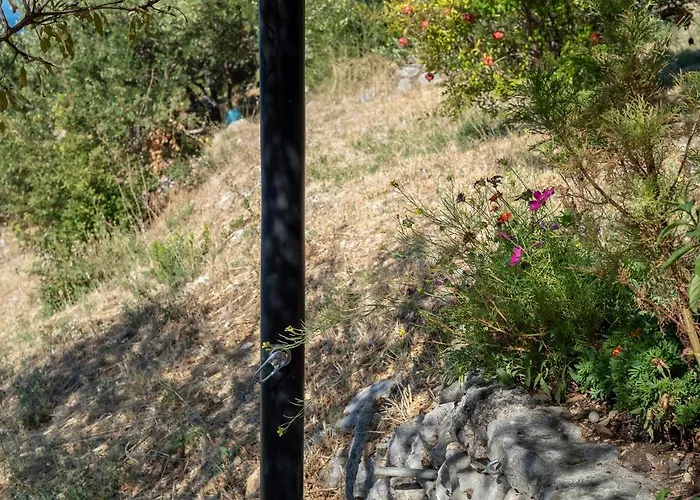 House Panorama Stanici